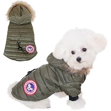 Amazon.co.jp 最新リリース: 犬用コート・ジャケット の新着ランキング